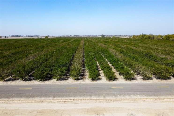 0 0 Lacey Blvd, Lemoore, CA 93245