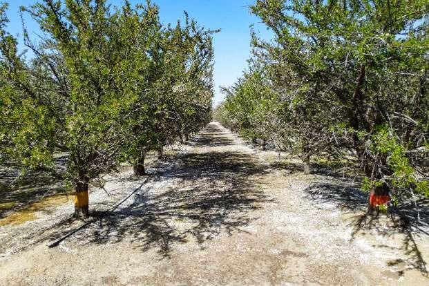 0 0 Lacey Blvd, Lemoore, CA 93245