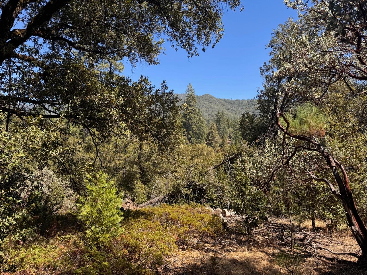 5605 Red Ibis Ct, Mariposa, CA 95338