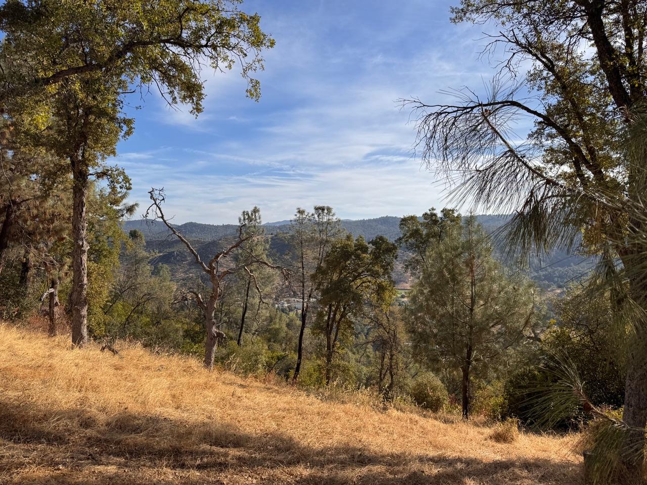 5 Martin Rd, Mariposa, CA 95338
