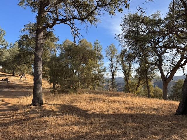 5 Martin Rd, Mariposa, CA 95338