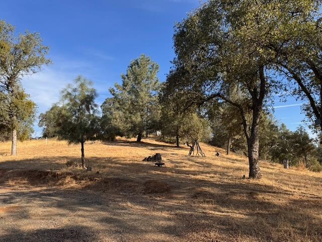 5 Martin Rd, Mariposa, CA 95338