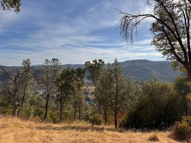 5 Martin Rd, Mariposa, CA 95338