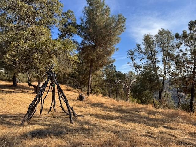 5 Martin Rd, Mariposa, CA 95338