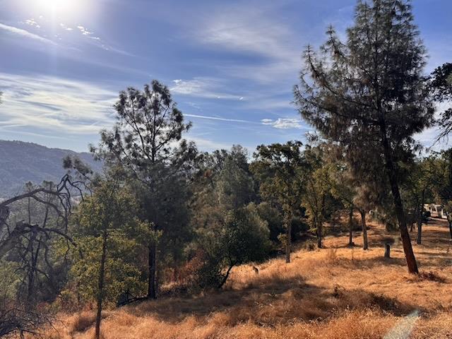 5 Martin Rd, Mariposa, CA 95338