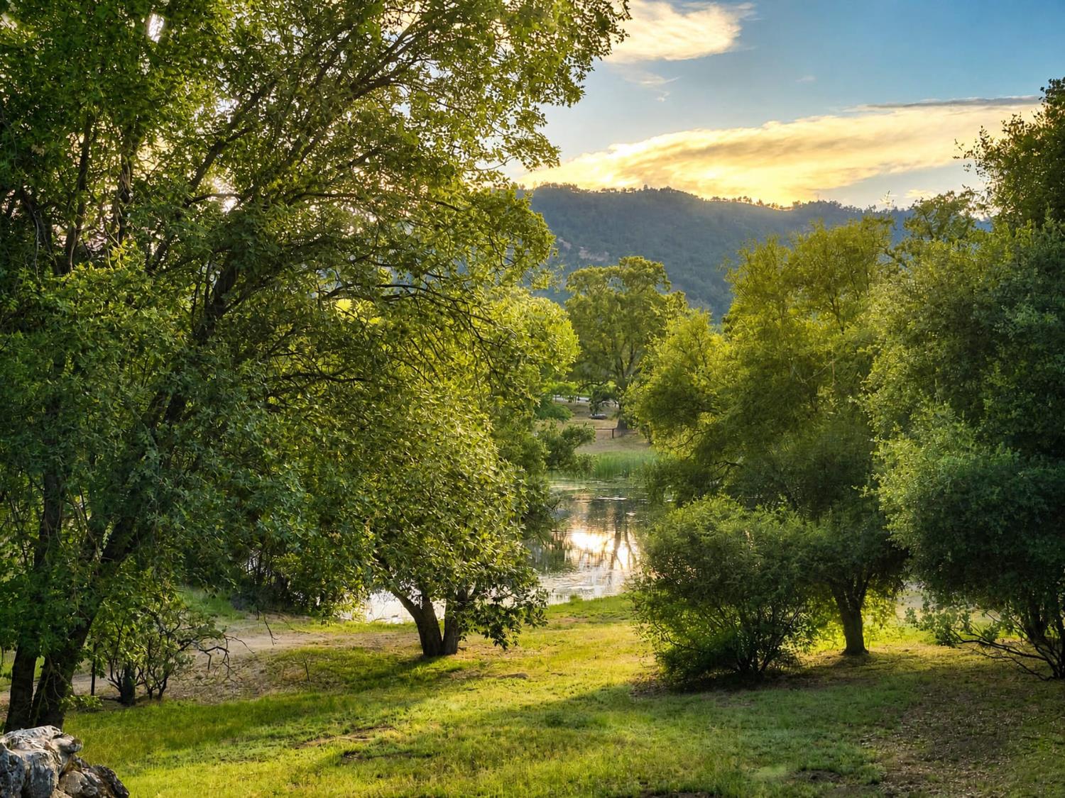41282 Singing Hills Cir, Ahwahnee, CA 93601