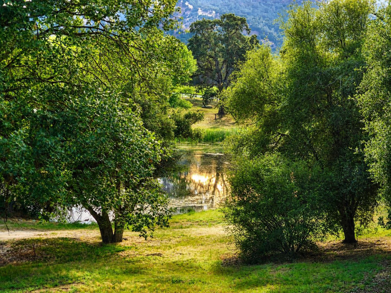 41282 Singing Hills Cir, Ahwahnee, CA 93601
