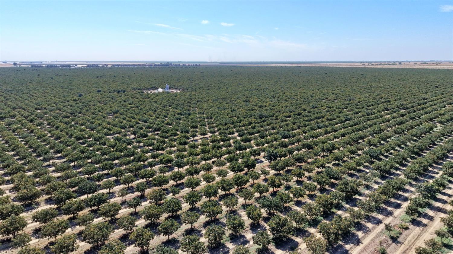 0 0000 W Whitesbridge, Tranquillity, CA 93668