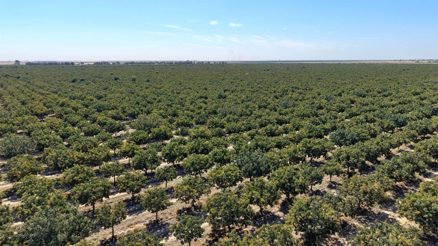 0 0000 W Whitesbridge, Tranquillity, CA 93668