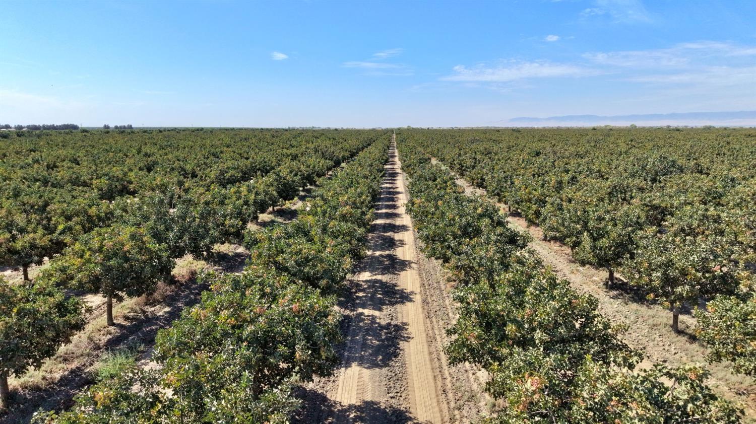 0 0000 W Whitesbridge, Tranquillity, CA 93668