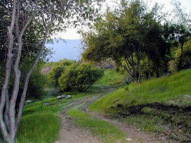 50971 Rosemary Ln, Yokuts Valley, CA 93675
