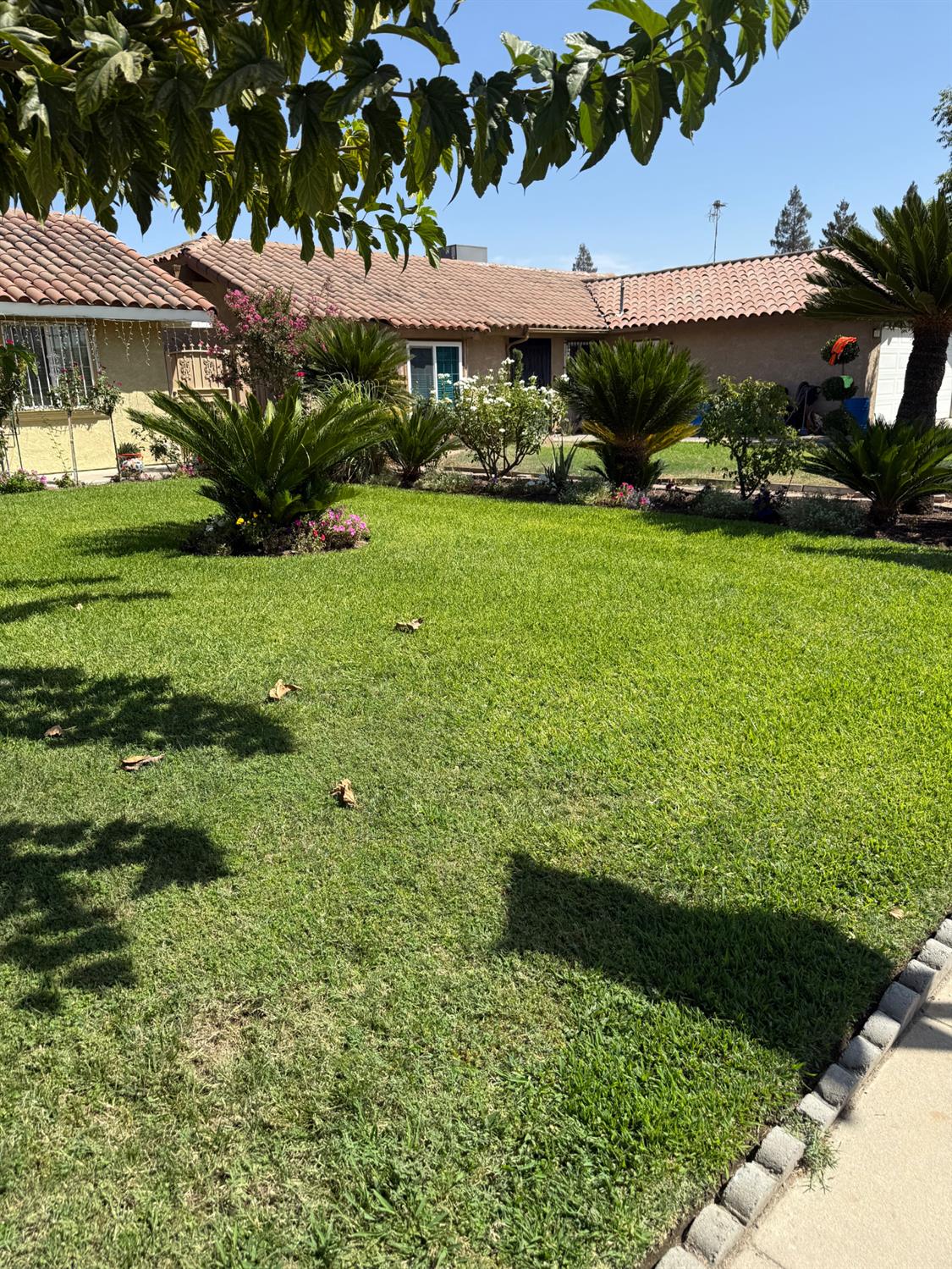 8570 S Rene Lopez, Parlier, CA 93648