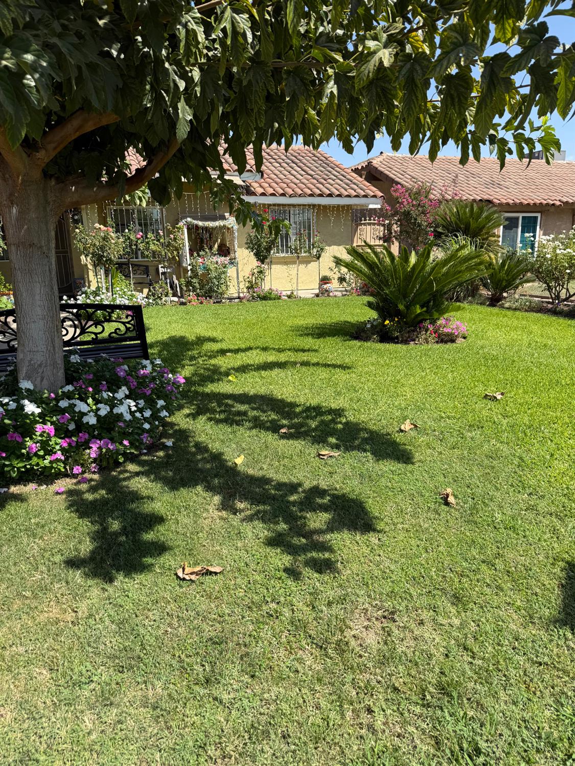 8570 S Rene Lopez, Parlier, CA 93648