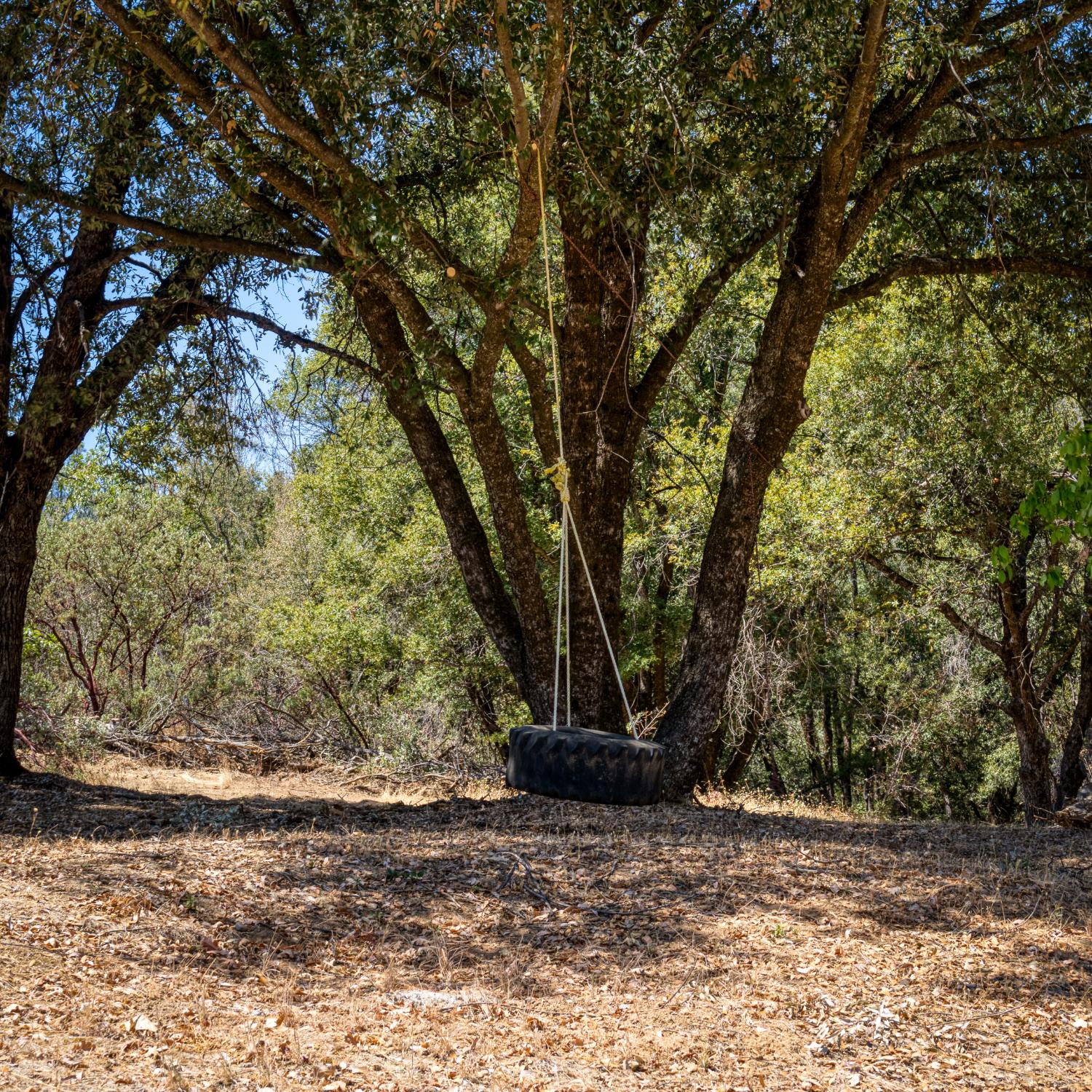 43696 Whispering Pines Dr, Oakhurst, CA 93644