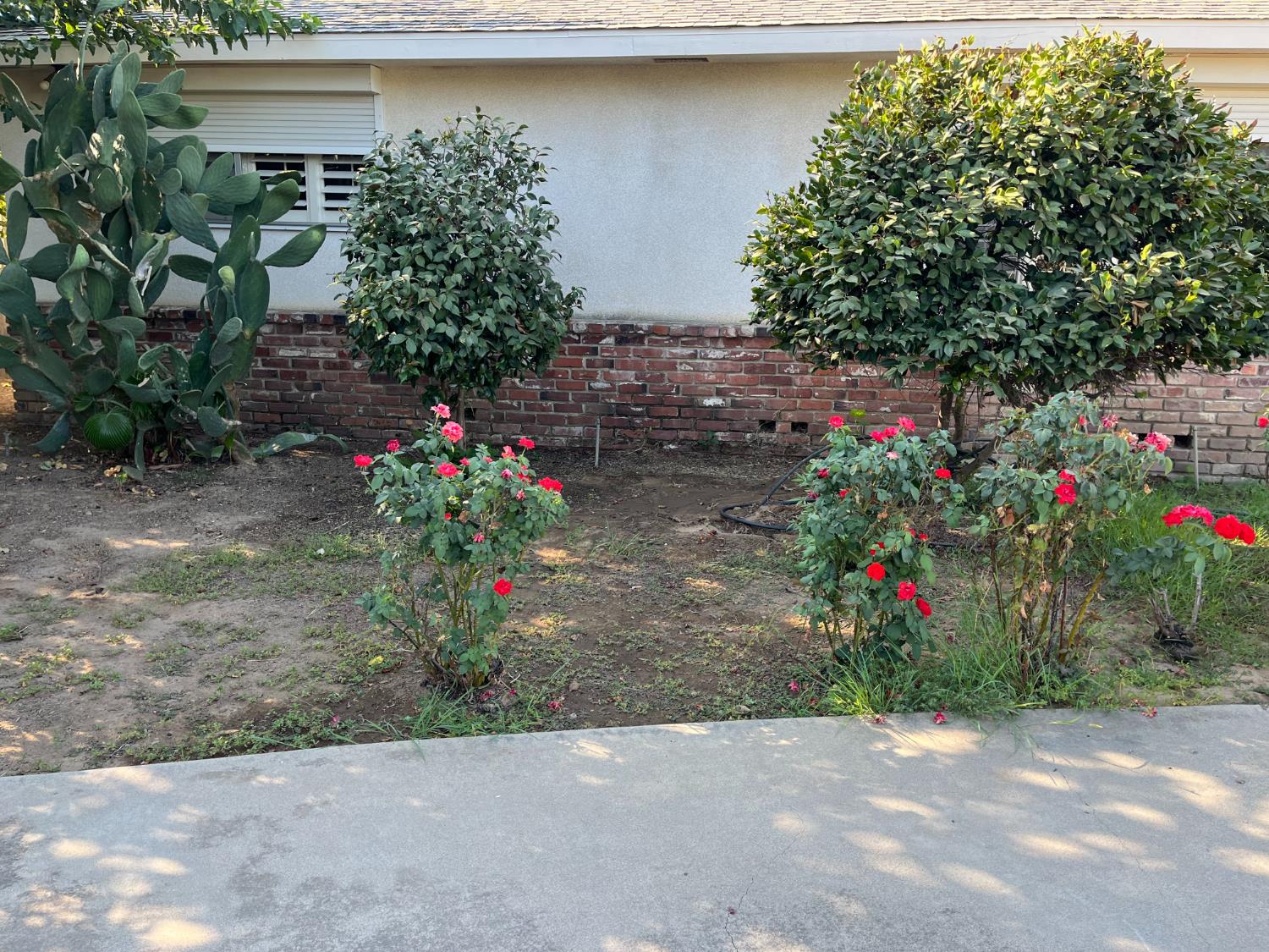 5910 E Alta, Fresno, CA 93772