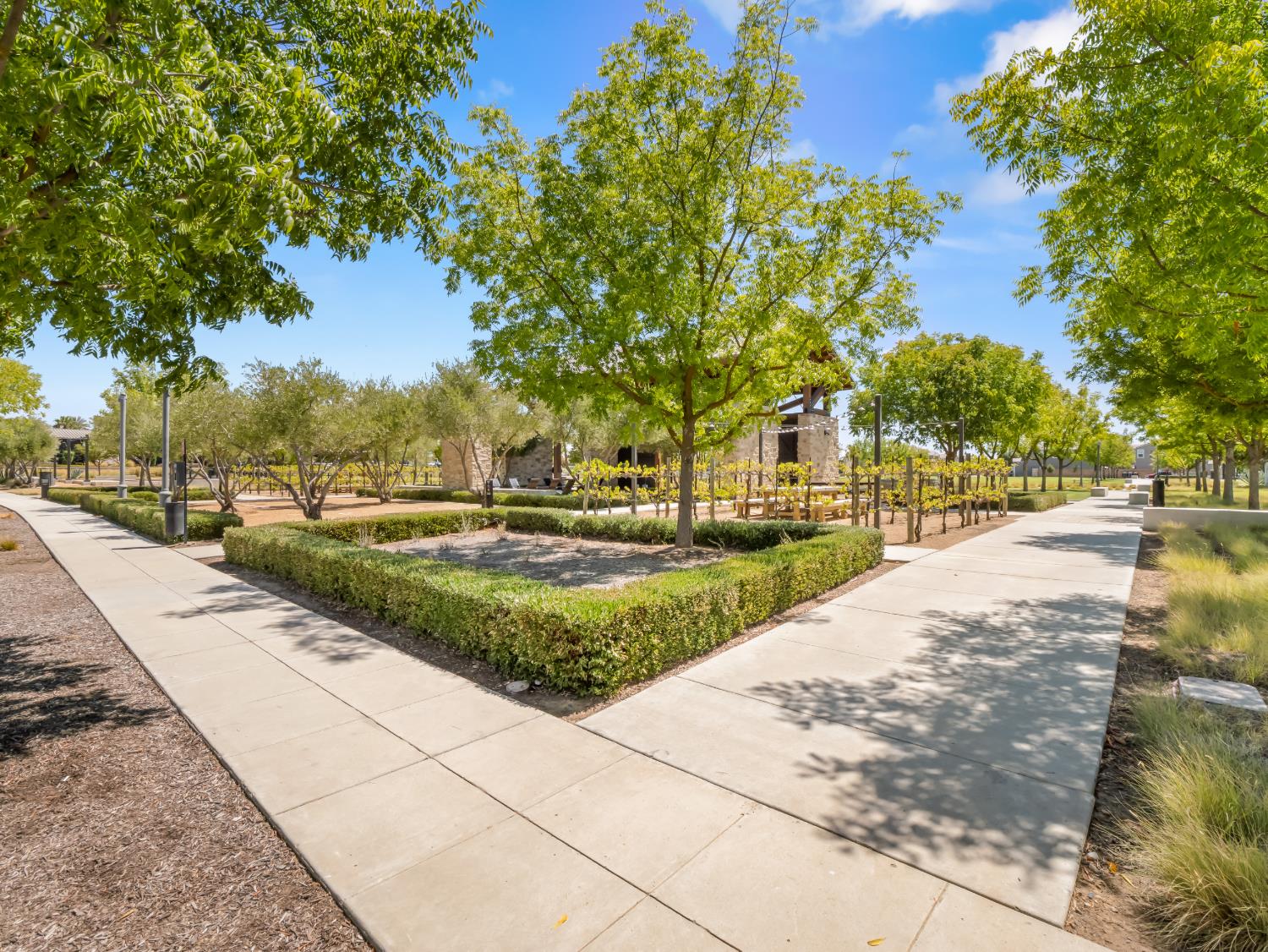 715 Harvest Dr, Madera, CA 93636