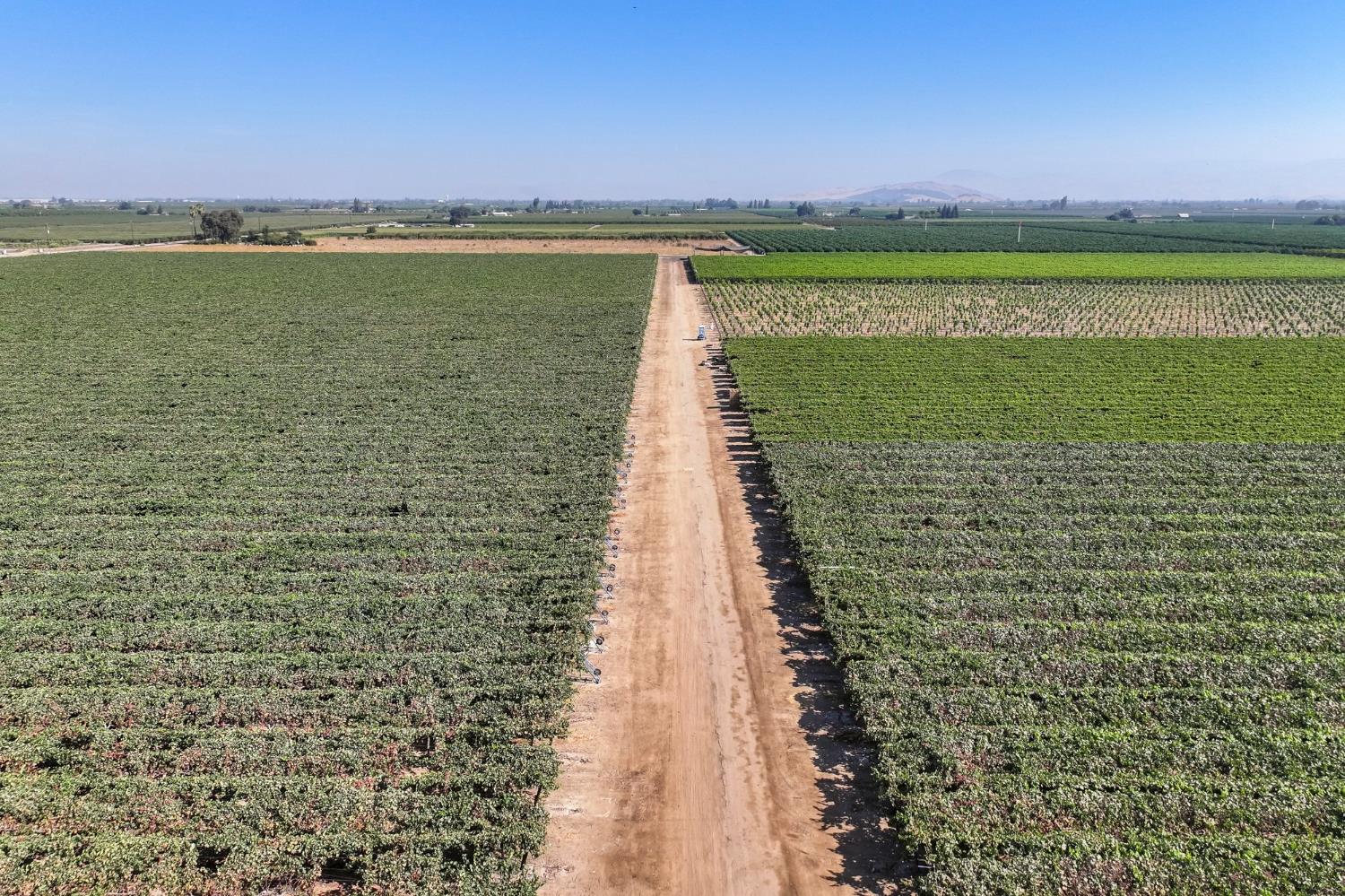 0 0 Road 88, Dinuba, CA 93618