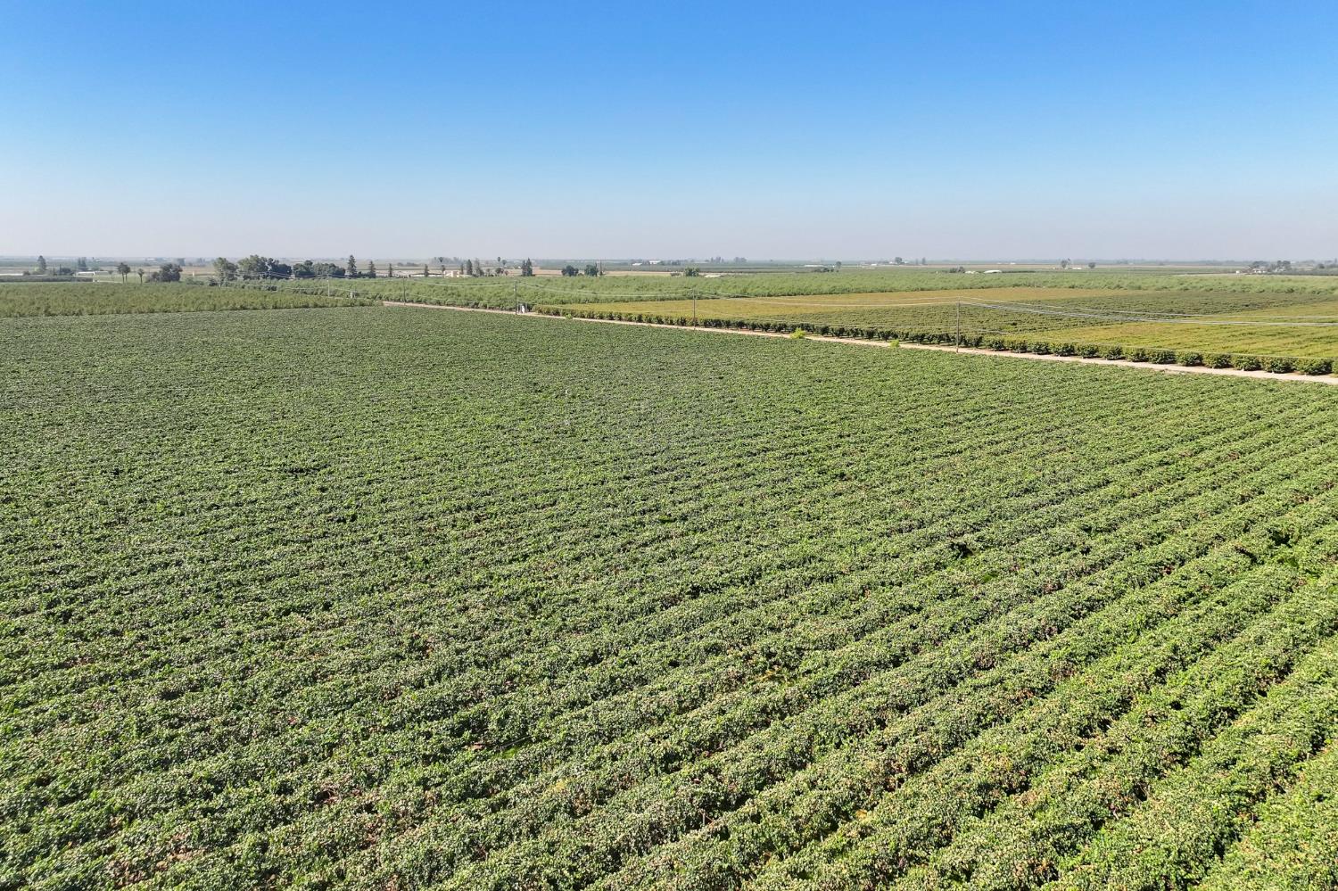 0 0 Road 88, Dinuba, CA 93618