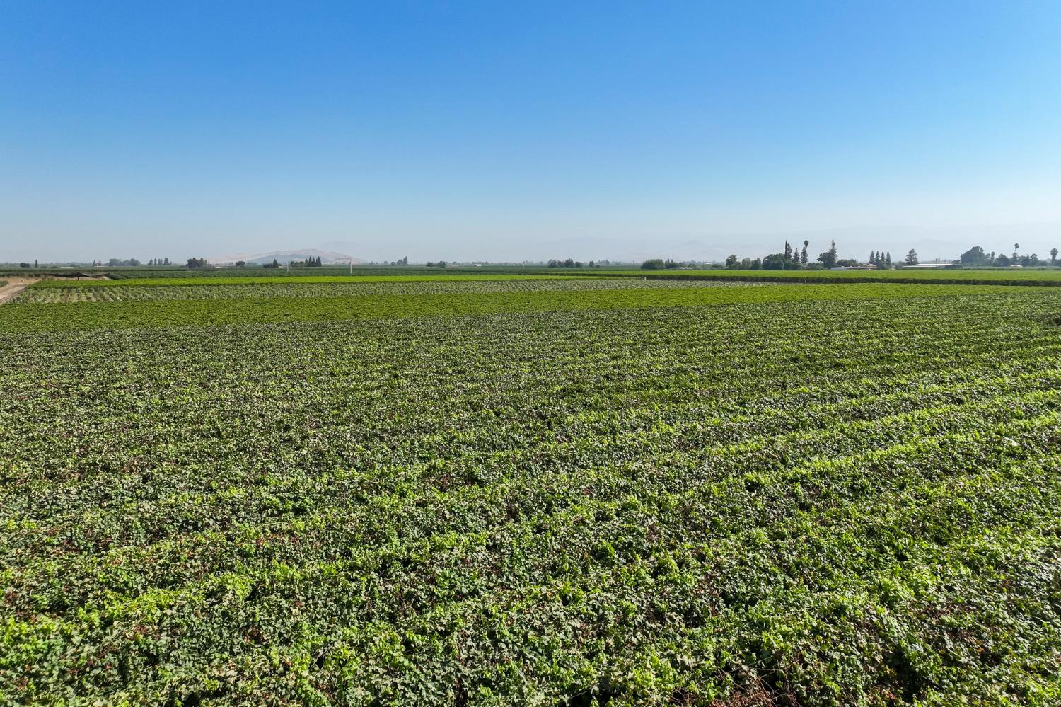 0 0 Road 88, Dinuba, CA 93618