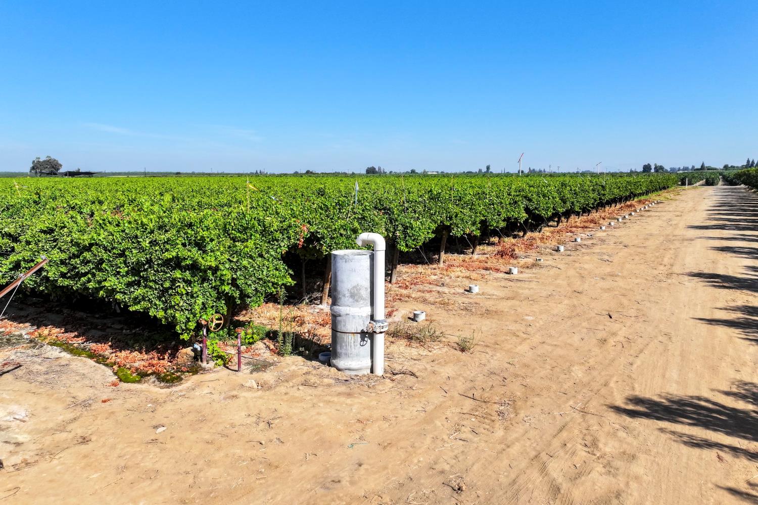 0 0 Road 88, Dinuba, CA 93618