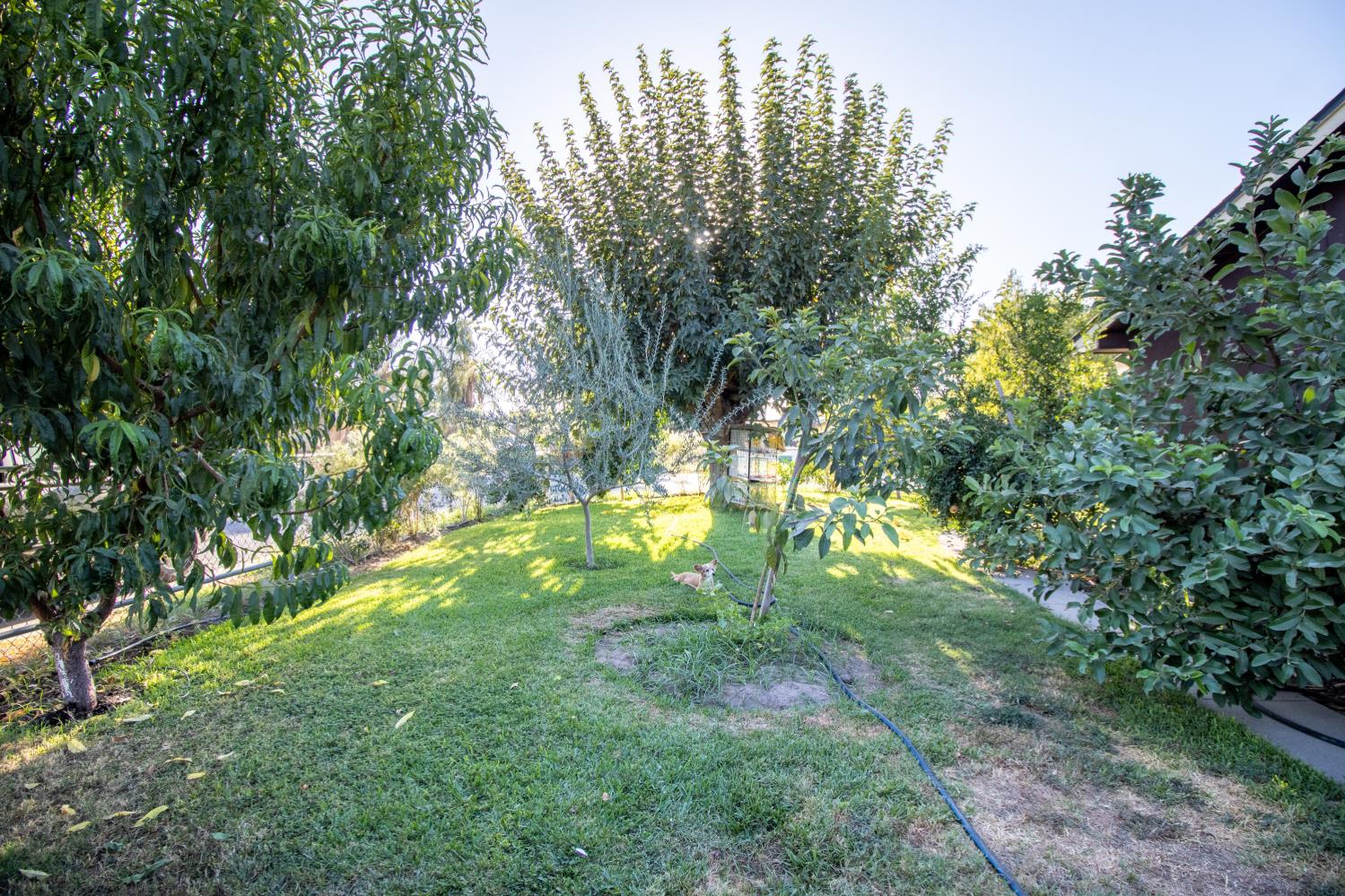 460 N Walch St, Porterville, CA 93257