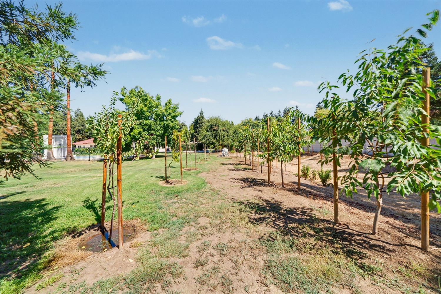 7879 E Garland Ave, Fresno, CA 93737