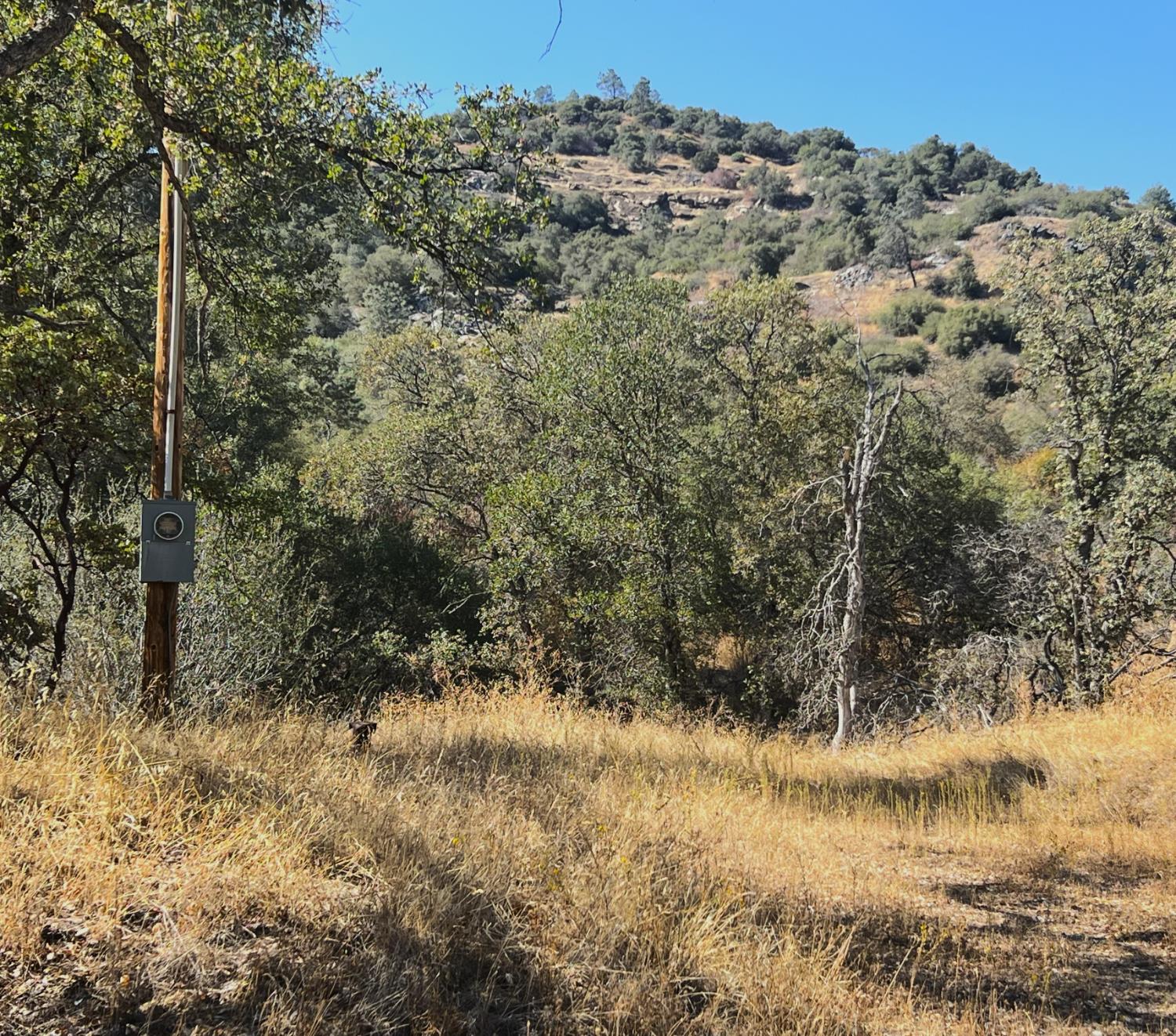 0 0 No Address Available, Tollhouse, CA 93667