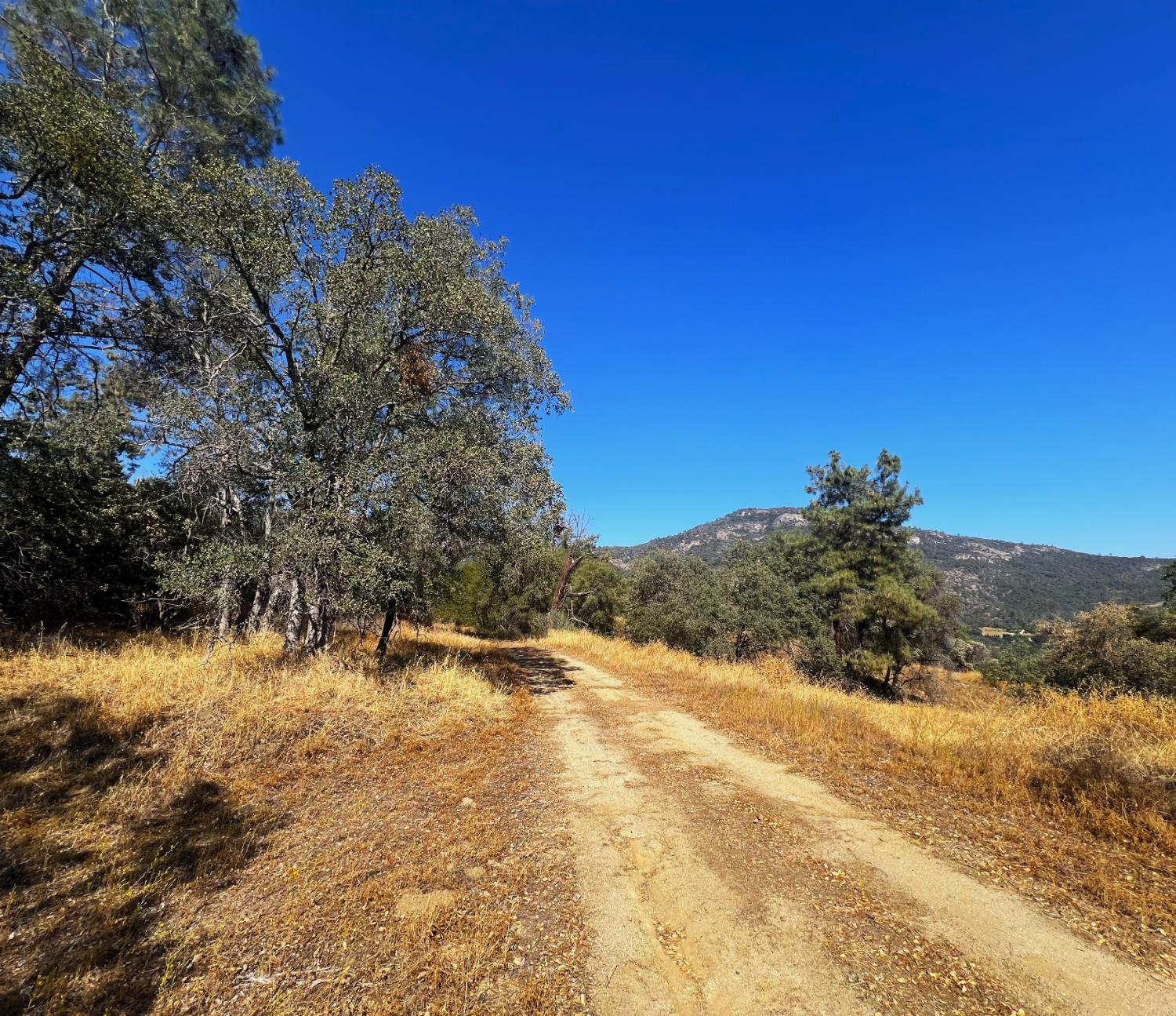 0 0 No Address Available, Tollhouse, CA 93667