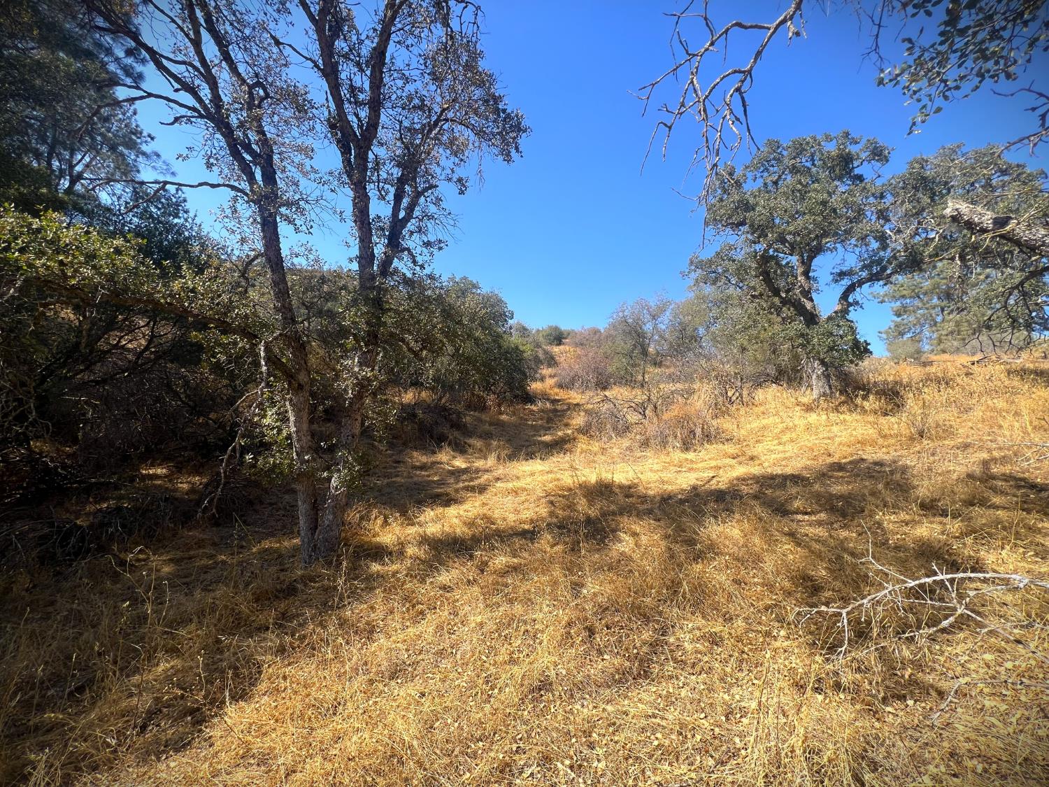 0 0 No Address Available, Tollhouse, CA 93667