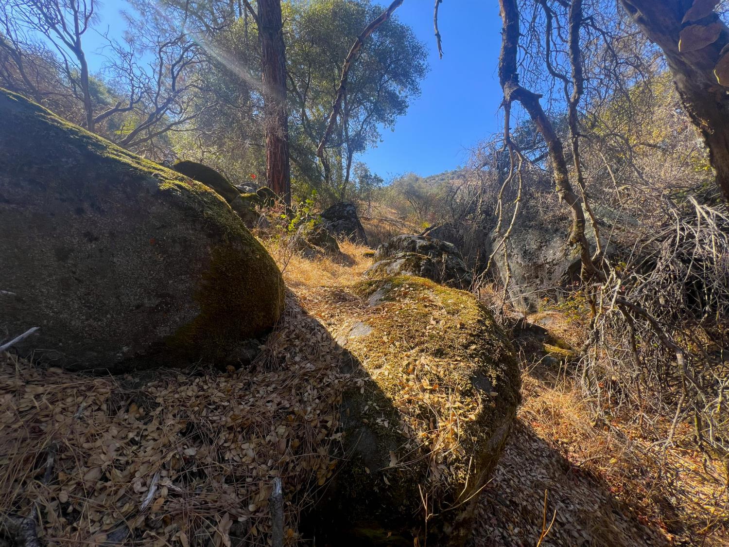 0 0 No Address Available, Tollhouse, CA 93667
