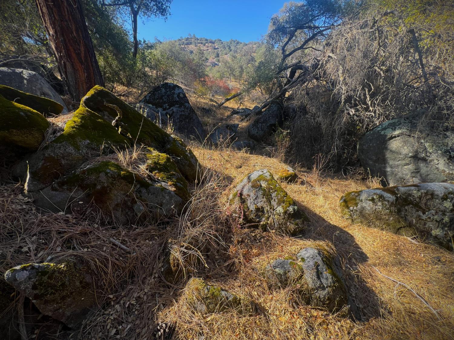 0 0 No Address Available, Tollhouse, CA 93667