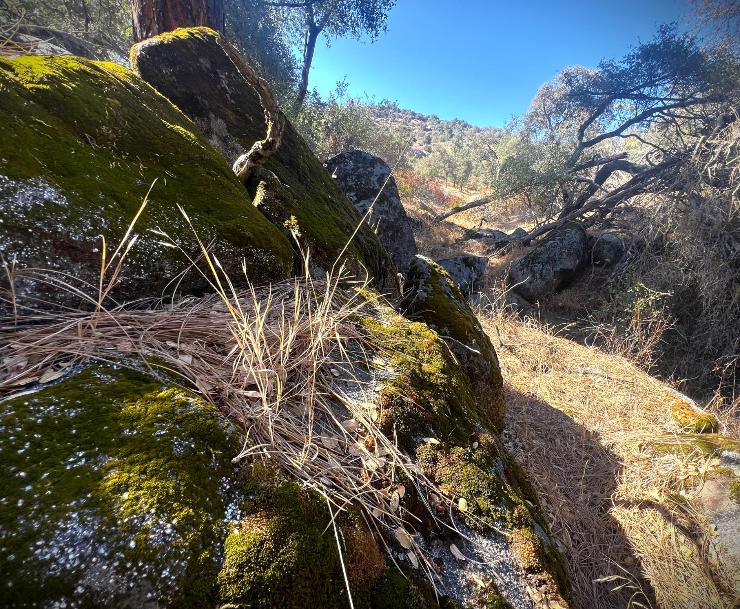 0 0 No Address Available, Tollhouse, CA 93667