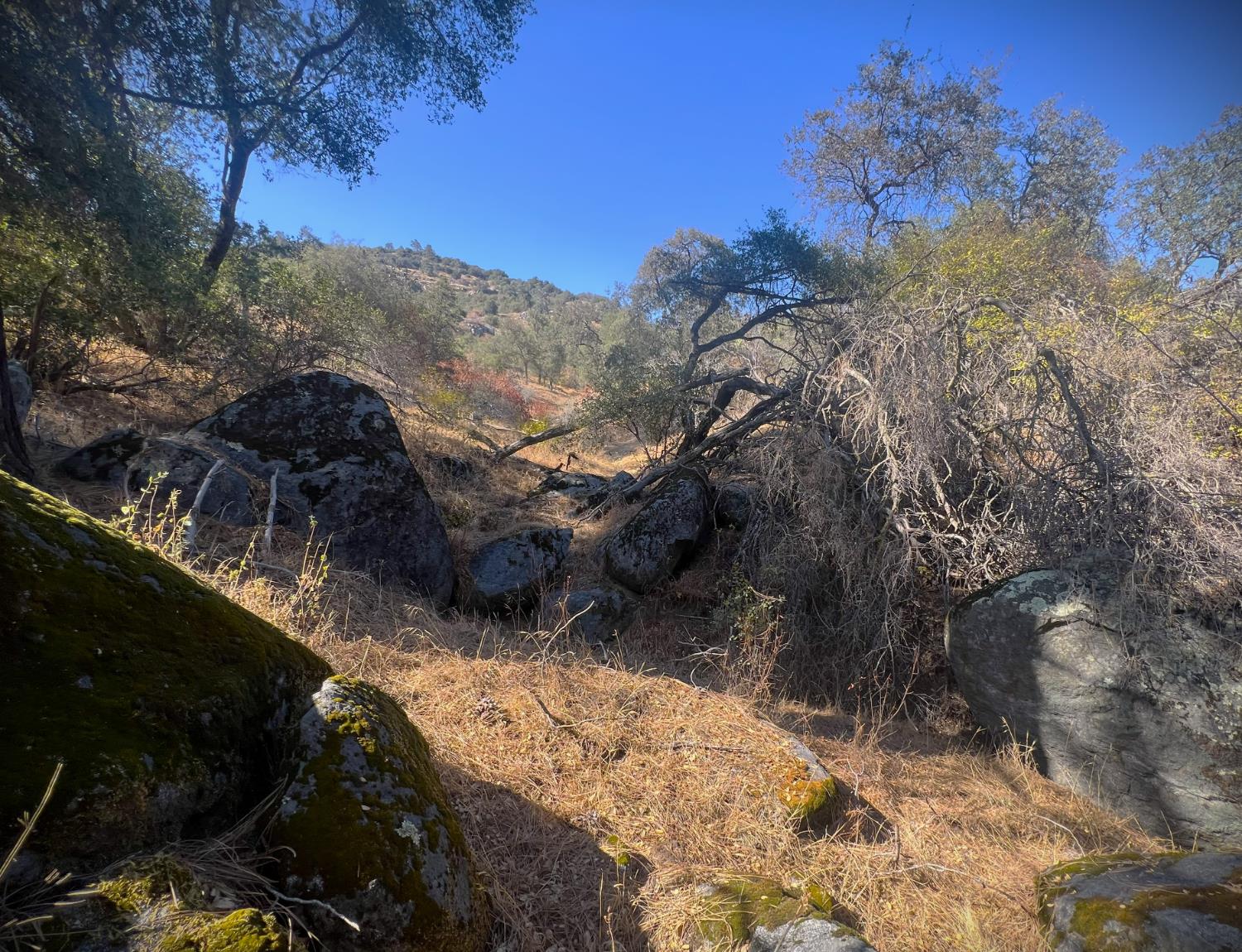 0 0 No Address Available, Tollhouse, CA 93667