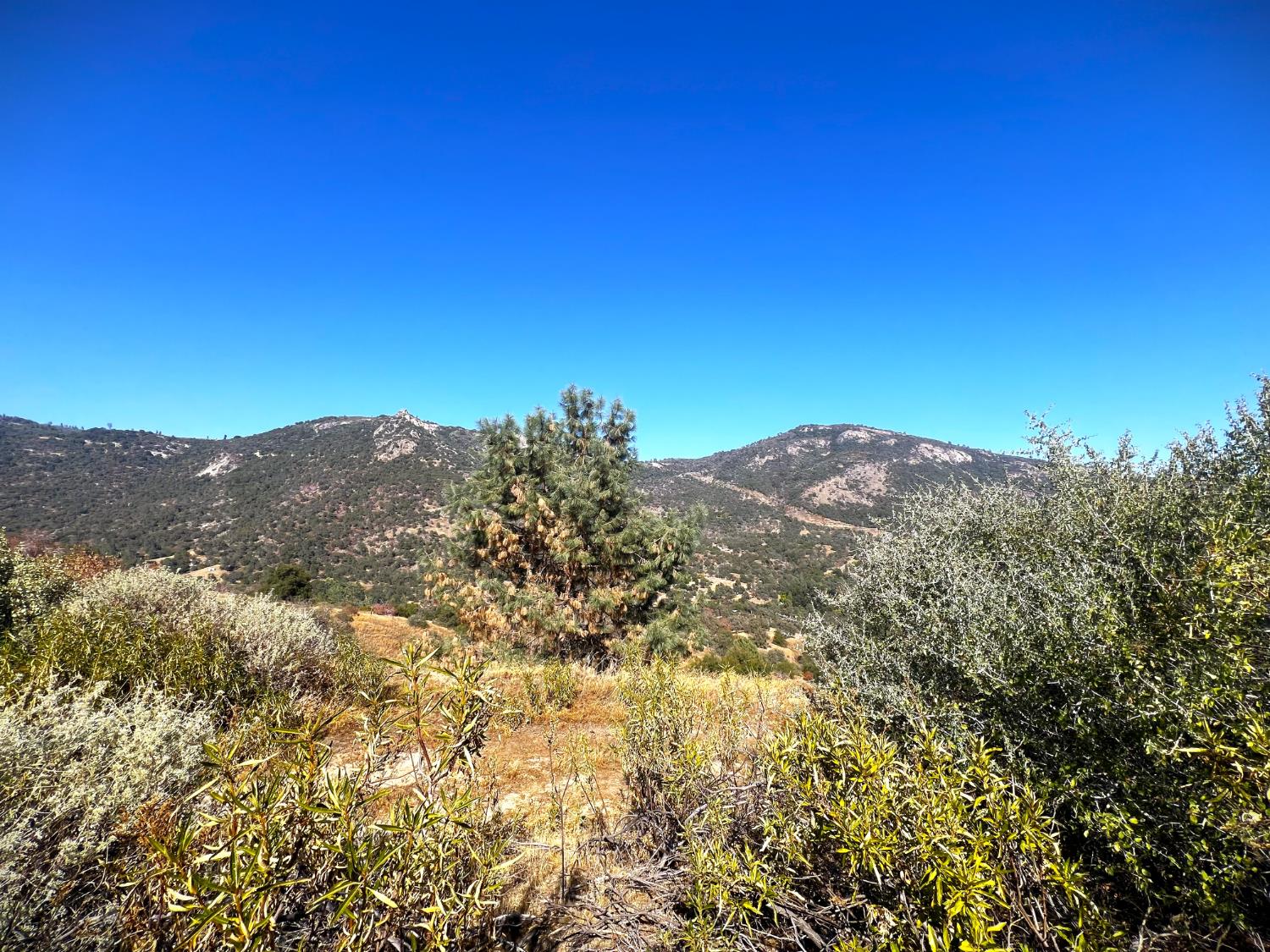 0 0 No Address Available, Tollhouse, CA 93667