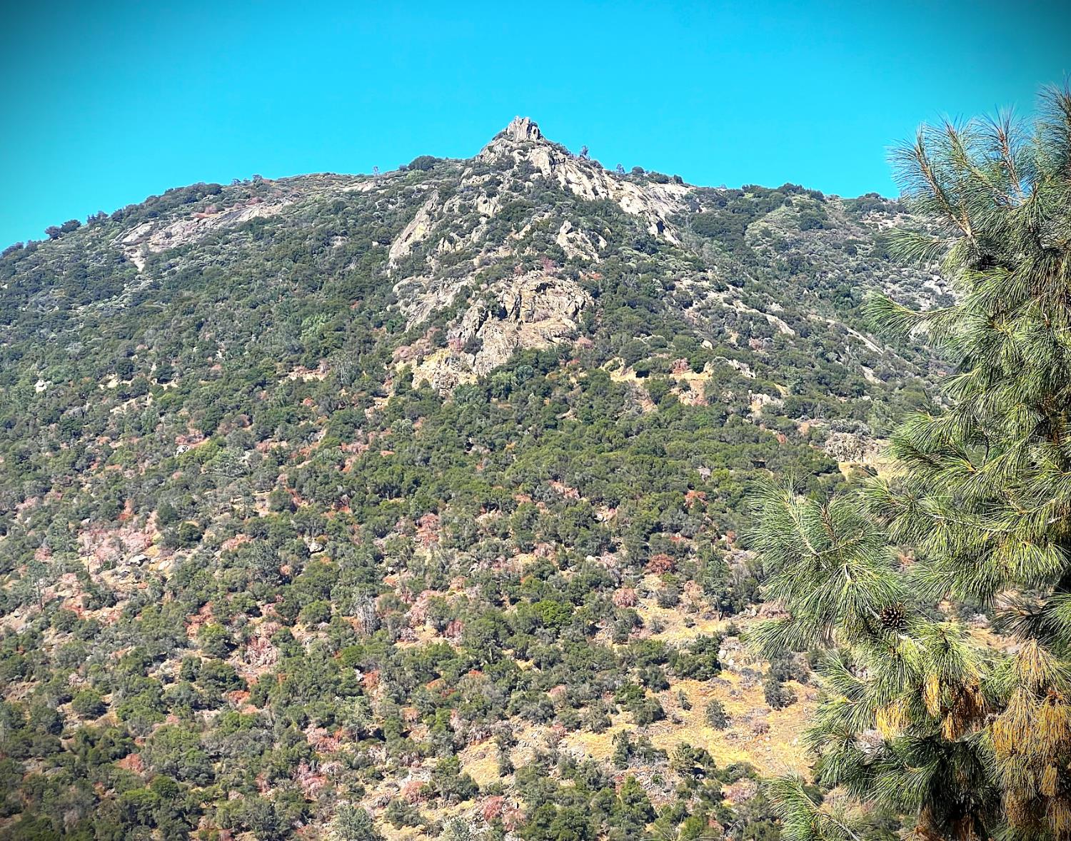 0 0 No Address Available, Tollhouse, CA 93667
