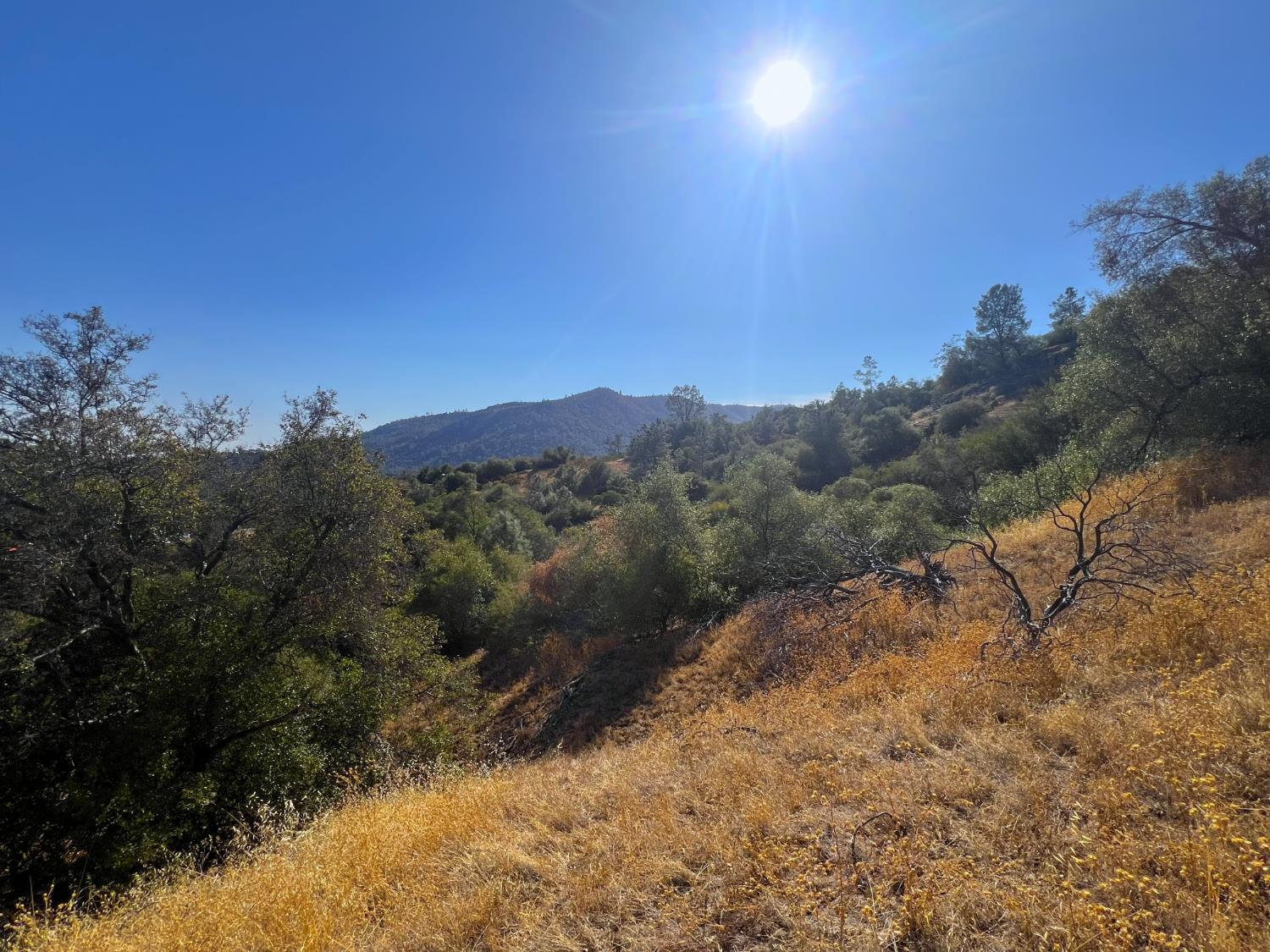 0 0 No Address Available, Tollhouse, CA 93667