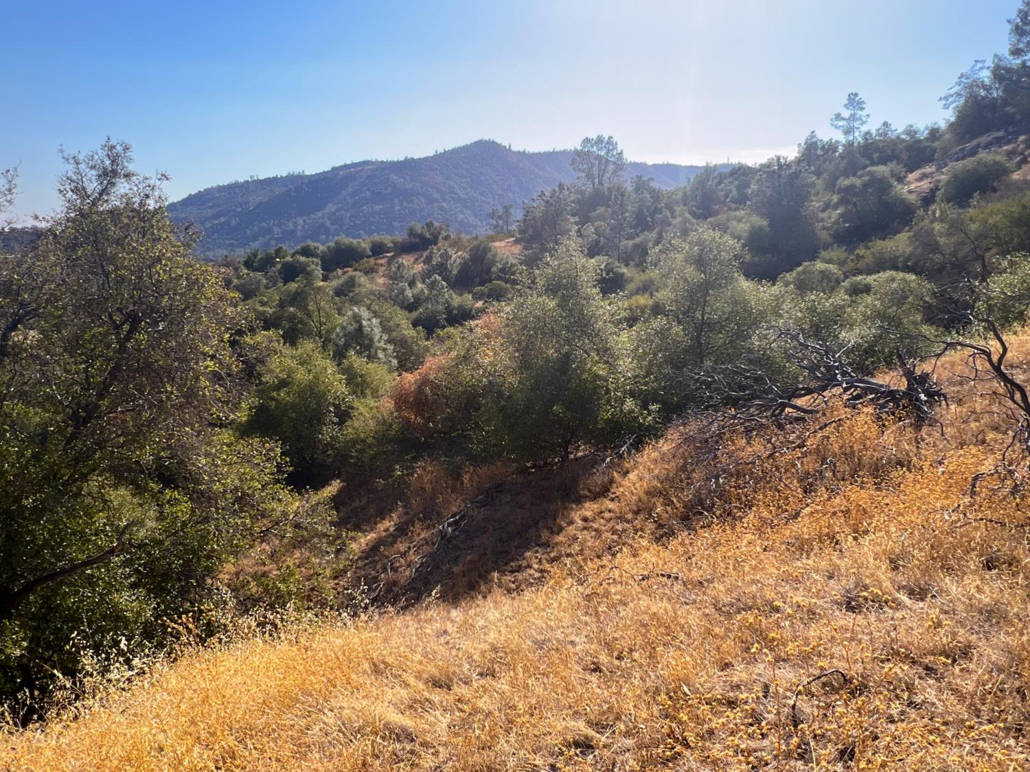 0 0 No Address Available, Tollhouse, CA 93667