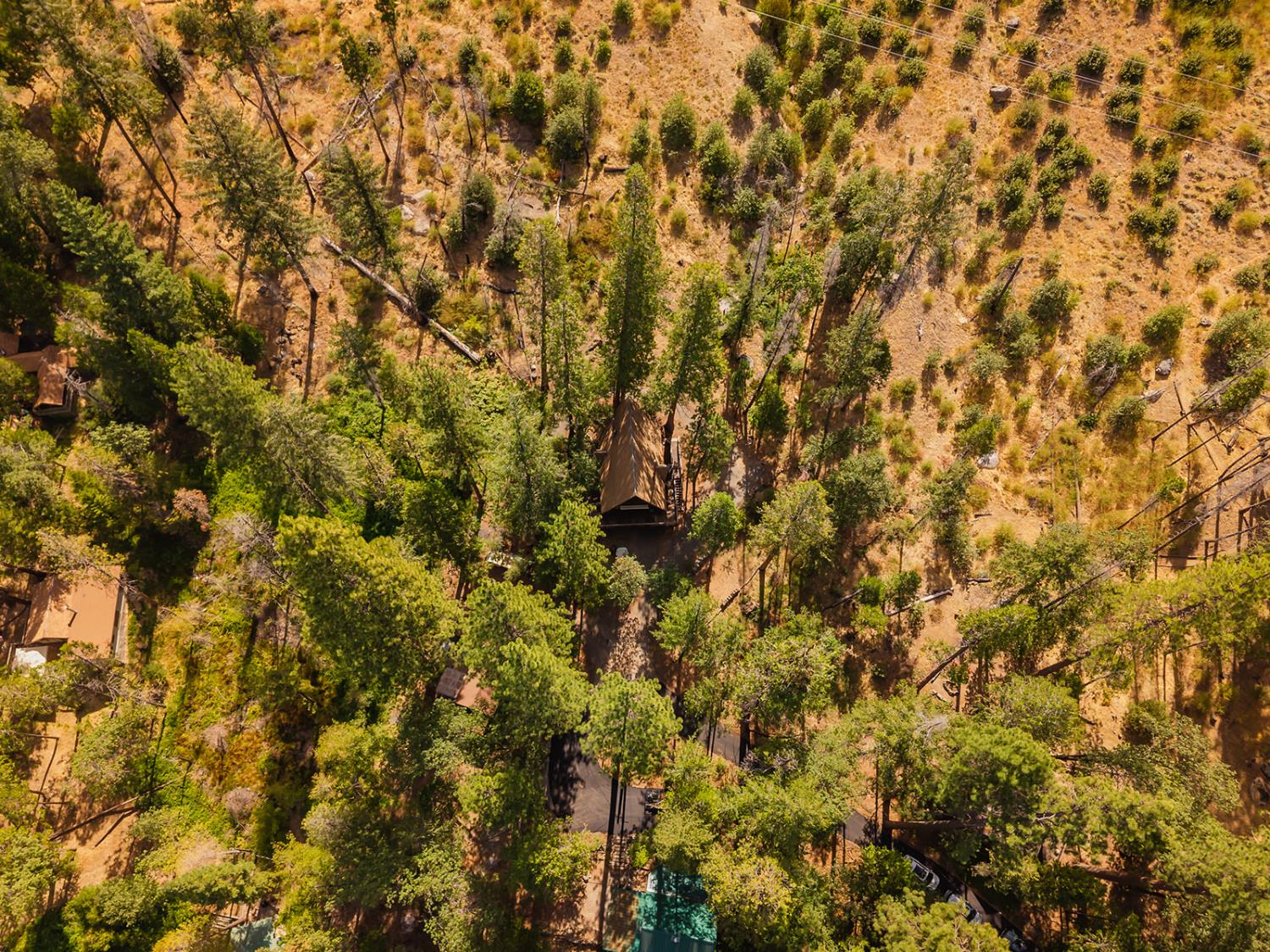 52147 Tiger Lily Ln, Shaver Lake, CA 93664
