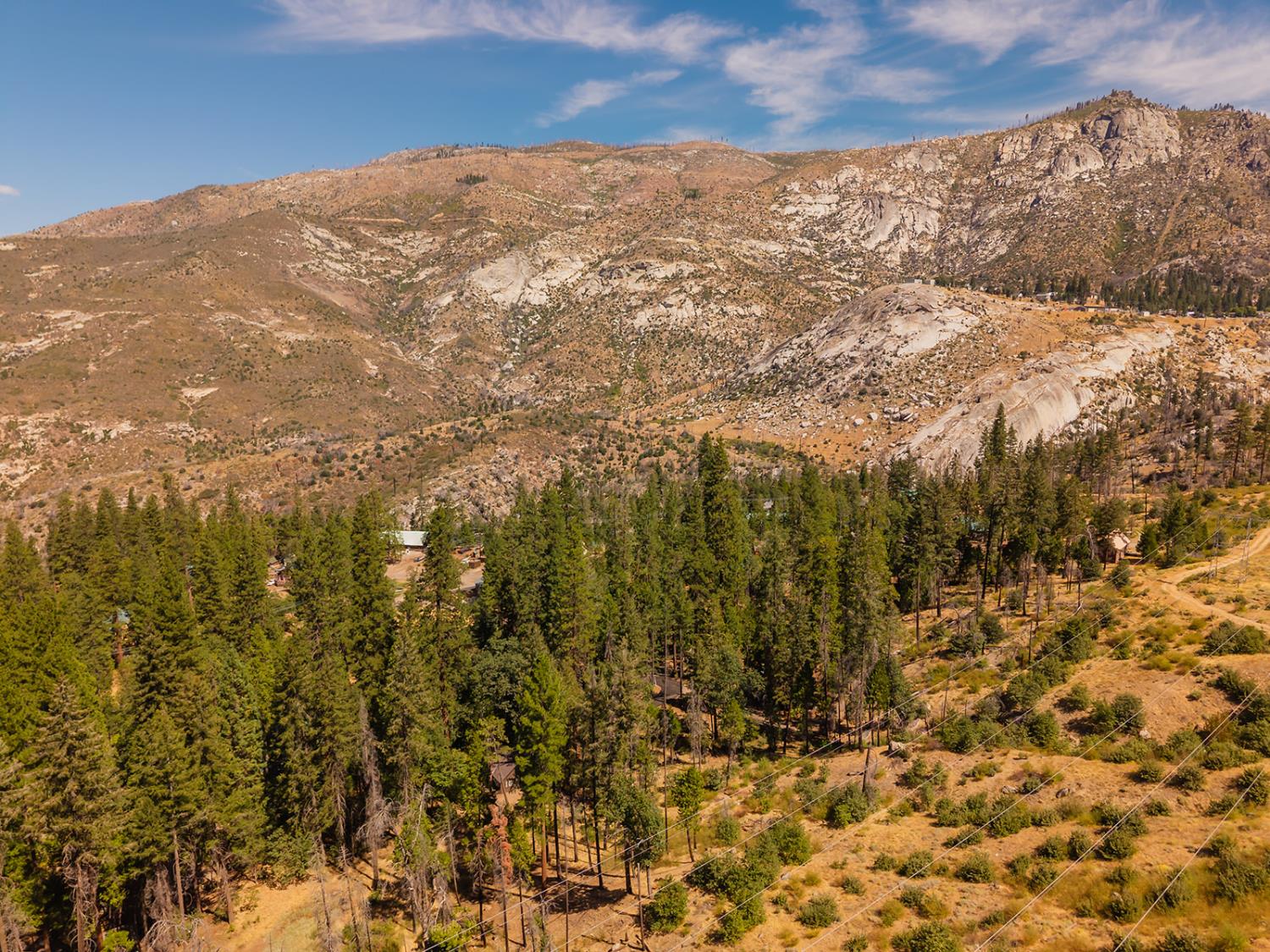 52147 Tiger Lily Ln, Shaver Lake, CA 93664