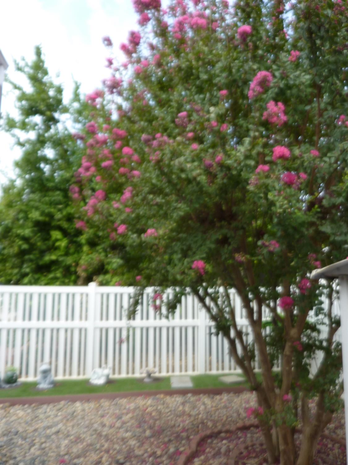 221 W Herndon Ave #6, Pinedale, CA 93650