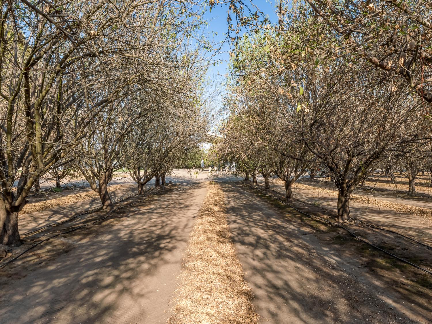 4489 S Indianola Ave, Del Rey, CA 93616