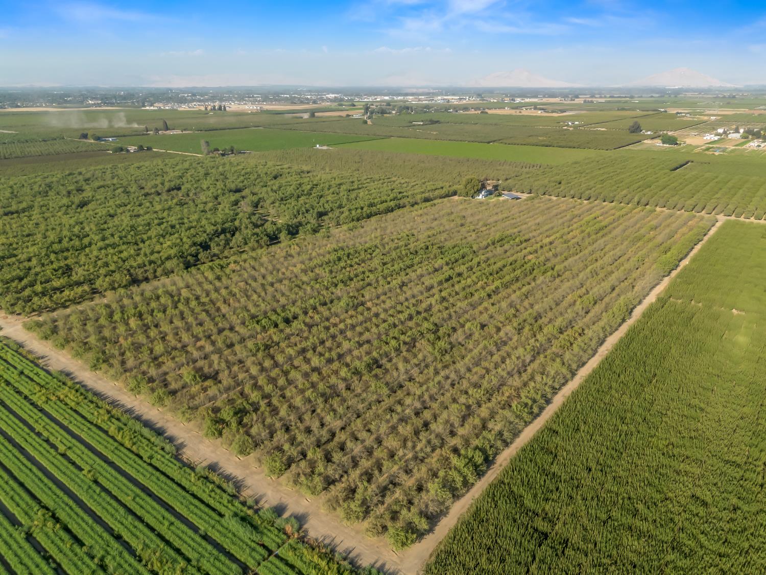 4489 S Indianola Ave, Del Rey, CA 93616