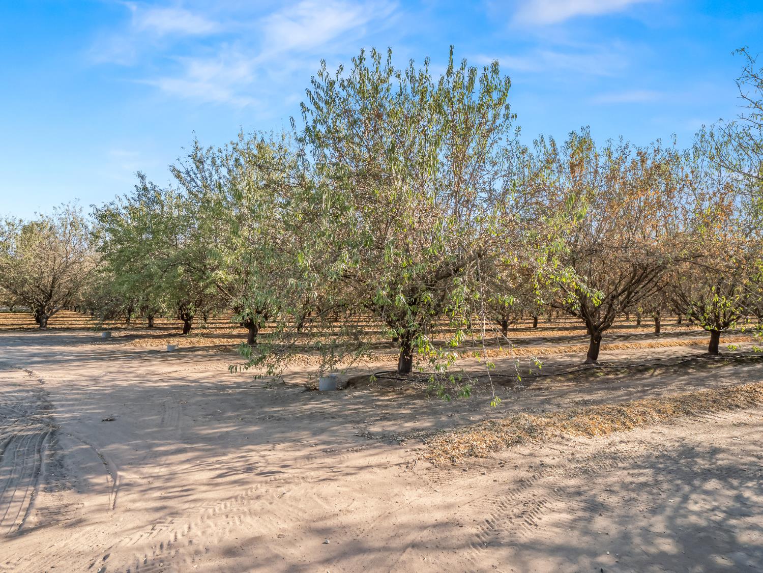 4489 S Indianola Ave, Del Rey, CA 93616
