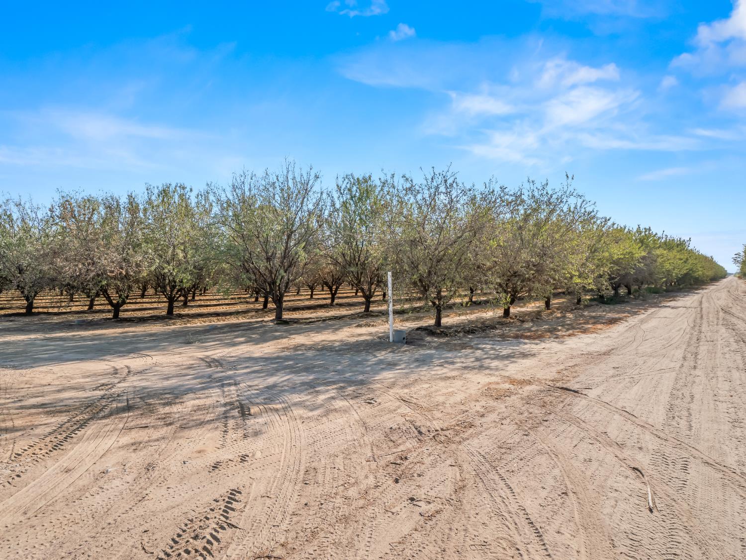 4489 S Indianola Ave, Del Rey, CA 93616