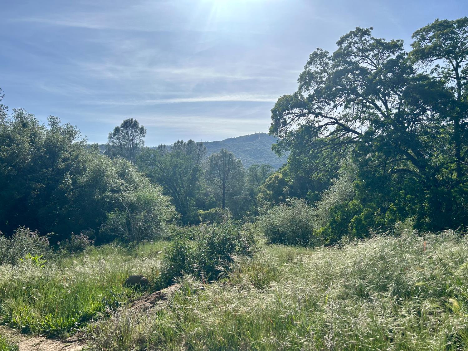 49992 Road 426, #A & #B, Oakhurst, CA 93644