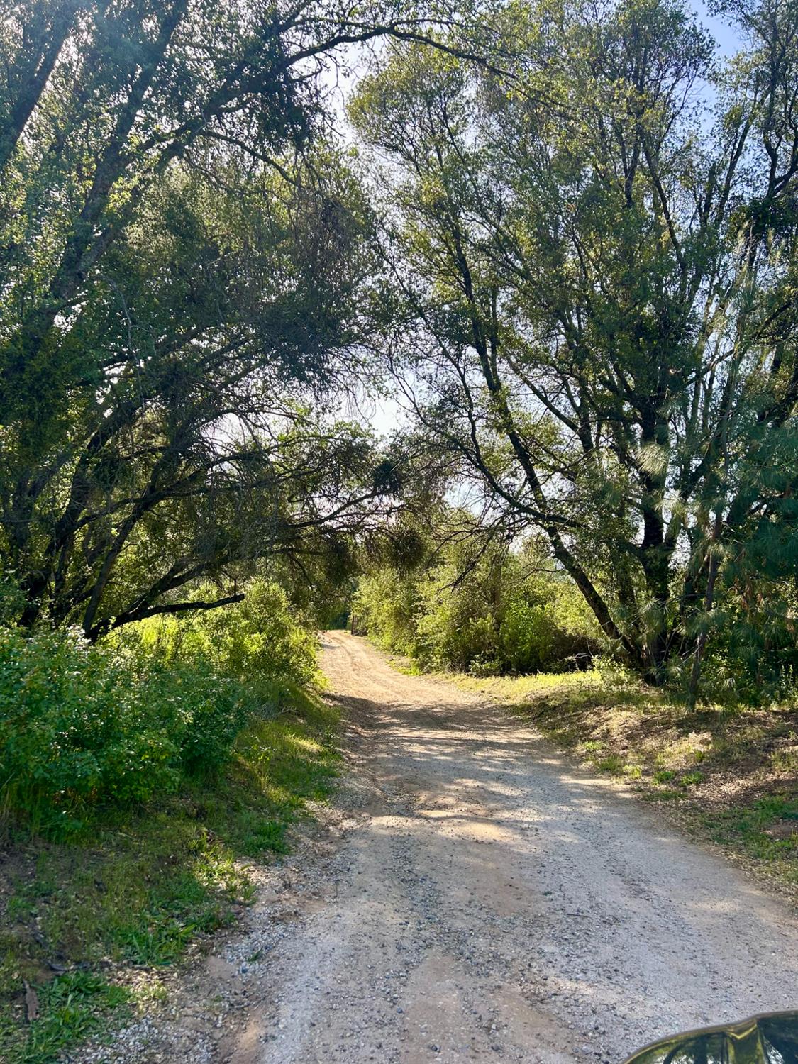 49992 Road 426, #A & #B, Oakhurst, CA 93644