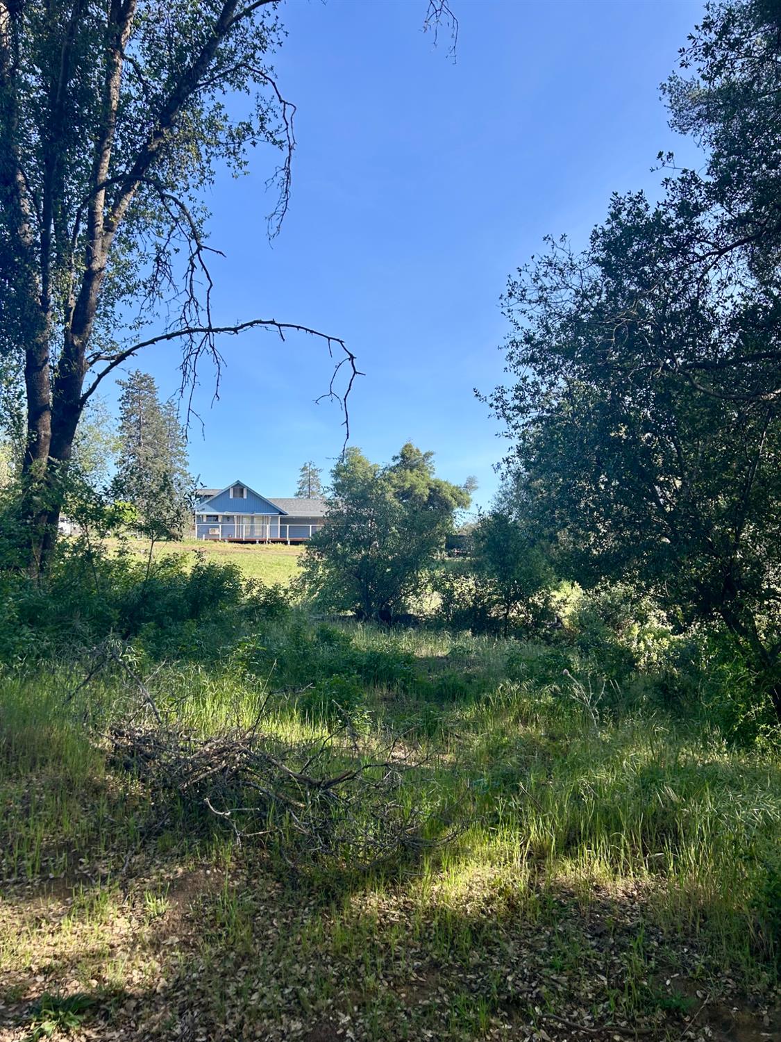 49992 Road 426, #A & #B, Oakhurst, CA 93644