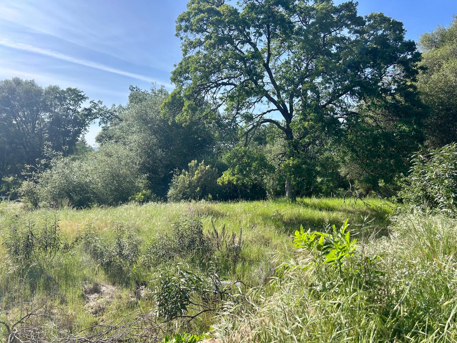 49992 Road 426, #A & #B, Oakhurst, CA 93644