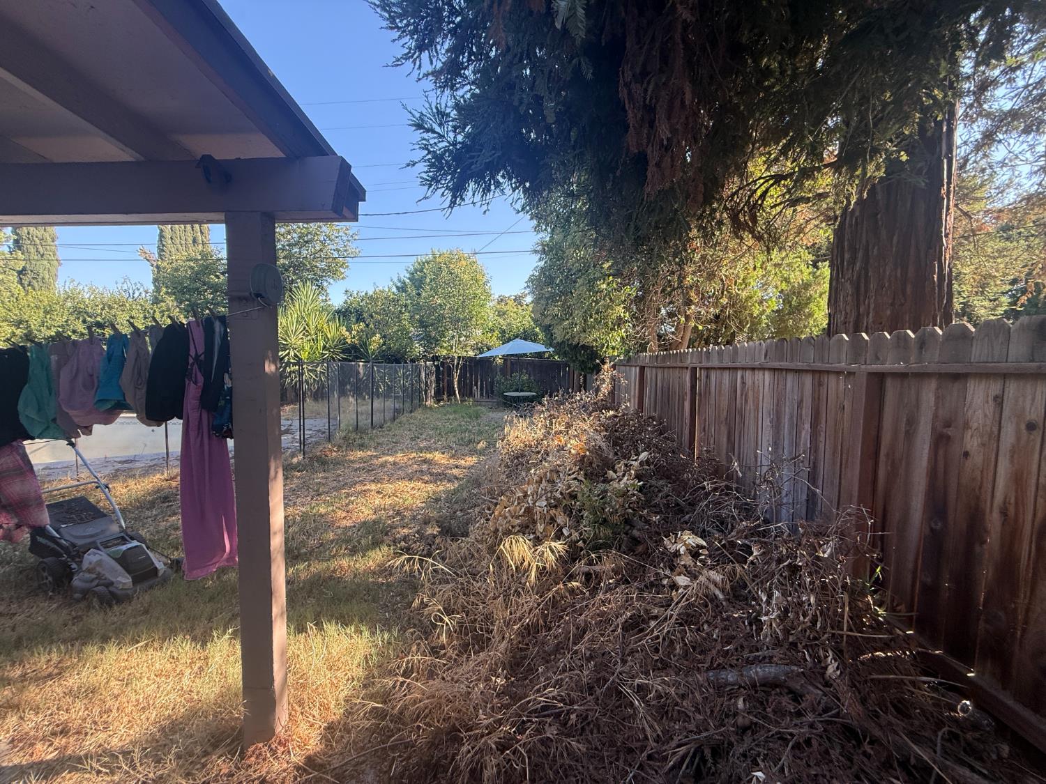 157 W Dovewood Ln, Fresno, CA 93704