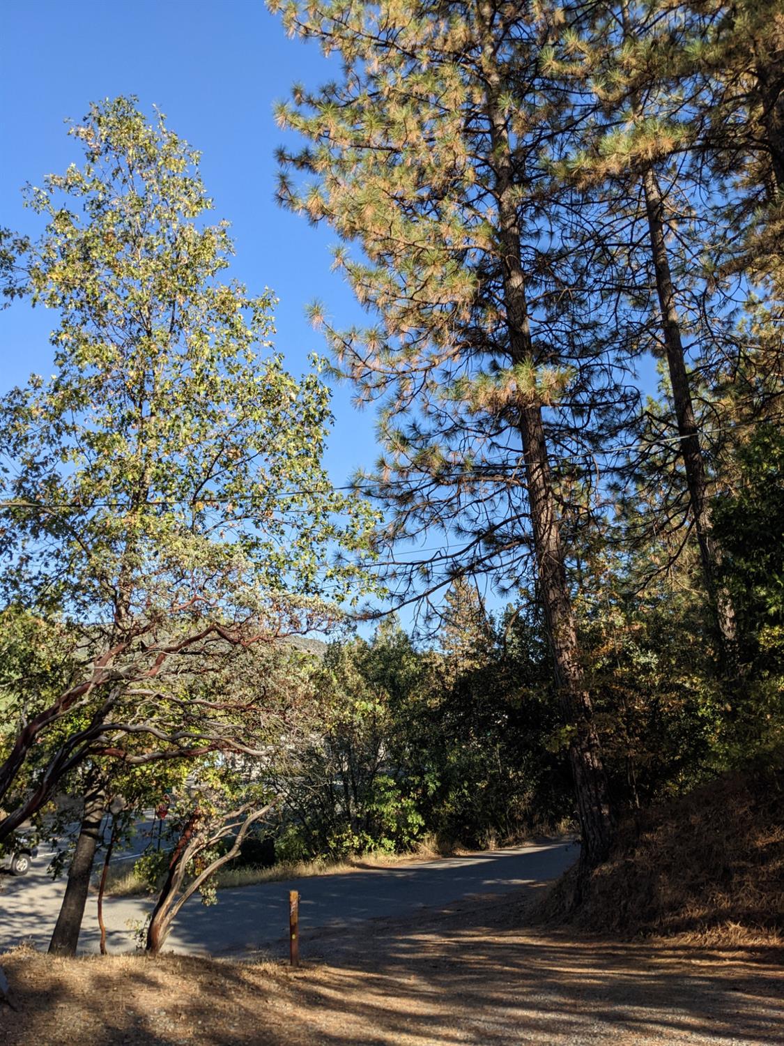 41916 41922 Yosemite Pines Dr, Oakhurst, CA 93644